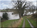 SJ4517 : Track beside the flooded River Severn (Jan' 2008) by Row17