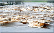 J3269 : The River Lagan in flood (5) by Albert Bridge