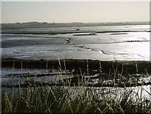 TM2323 : The Wade (with Landrover at low tide) by Colin Denny