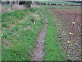 Restricted byway near Odstock