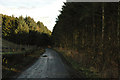 NJ6438 : Unclassified road through small area of forest near Meadowhead by Steven Brown