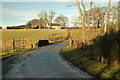 Road bridge over the Black Burn