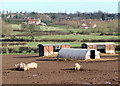 Pig Field, Lower Penn, Staffordshire