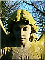 An angelic face in the cemetery, Kingston Lisle