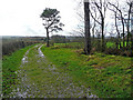 Track and footpath to Littleham church