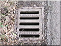 Down the  Drain