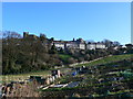 Allotments, Denbigh