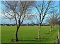 King George V Playing Fields