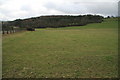 Pastures beside the A489