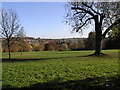 Over the Old Town from Gadebridge Park West