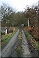 Lane at Maesmawr