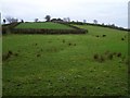 Finkiltagh Townland