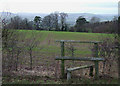 Shropshire Farmland (with Stile)