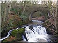 Arbirlot Bridge and Falls