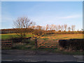 Field gates off Cortforth Lane