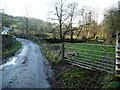 Lane towards Cwm Crickadarn