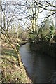 River Lark at Ram Meadow