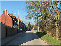 TA0322 : Marsh Lane, Barton Upon Humber by David Wright
