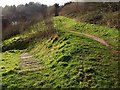 Path and steps above Heron Way, Torquay