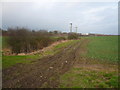 Field View from Inkersall Green Road