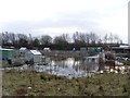 Flooding at Dalmuir allotments