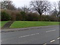 Grassland between railway and Dumbarton Road