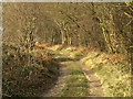 TA0907 : Bridleway near Hendale Wood by Andy Beecroft