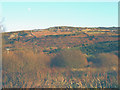 SH3140 : The bracken covered western slope of Mynydd Nefyn by Eric Jones