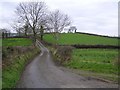 Road at Sheetrim