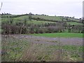 Rawes Townland