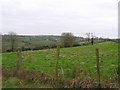 Rawes Townland