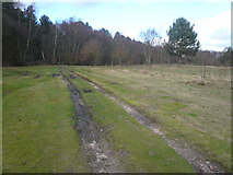 SK6275 : Clumber Park - Tracks in Barbecue Clearing by Alan Heardman