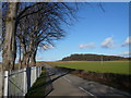 Road View - Leaving Whaley Thorns Cemetery