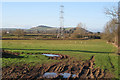 Power lines through pasture