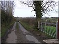 Road at Foyduff