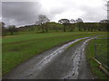 Fields west of Gilfachydwn Fawr farm