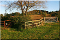 SO8815 : Field Gates near Abbotswood Farm, Brockworth by Mike Baldwin