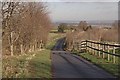 Lane to St Brides