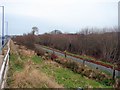 SN5980 : Vale of Rheidol railway track by John Lucas