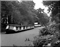 Derelict houseboats above Lock No 1