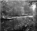 Derelict and vandalised abandoned houseboats, Basingstoke Canal