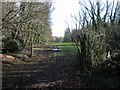 View through Garden Wood to Dane Court