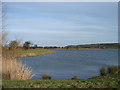 View of Sailing Lake Plus Black Sheep