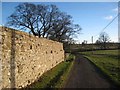 Wall at Kirkharle Manor