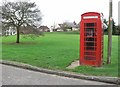 The Green in Dadlington, Leicestershire