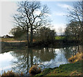 The Barnsley Canal