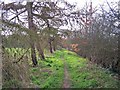 Footpath to Grove Park