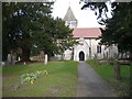 Early daffodils. St. Peter and St. Paul