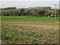 TR2753 : View of Chillenden from Sandwich Road by Nick Smith