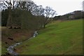 Steeping Gill and Skelton Hall